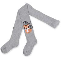 Колготки дитячі UCS Socks "Tiger" сірі меланж Фото