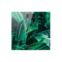 Весы напольные Ardesto SCB-965LEAVES Фото