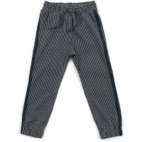 Штаны детские Breeze с лампасами Фото