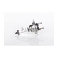 Автолампа Bosch галогенова 55W Фото