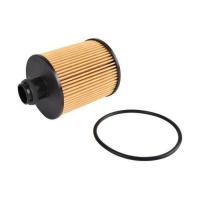 Фильтр масляный Champion COF100600E Фото