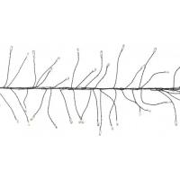 Гирлянда Luca Lighting кластер черная струна теплый белый 8 м Фото