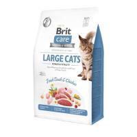 Сухий корм для кішок Brit Care Cat GF Large cats Power and Vitality 400 г Фото