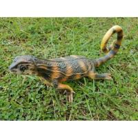 Фигурка Lanka Novelties Игуана московая килевата, 42 см Фото