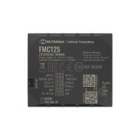 GPS-трекер Teltonika FMC125 Фото