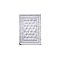 Одеяло Billerbeck 342 Brilliant Superlight 200x220 см Фото