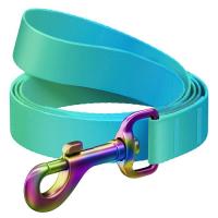 Поводок для собак WAUDOG Nylon Recycled S Ш 15 мм Д 122 см голубой Фото