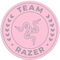 Коврик под кресло Razer Team Floor Rug Quartz Фото