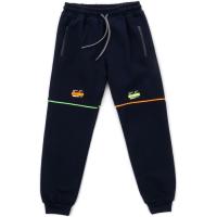 Штаны детские Joi спортивные флисовые Фото