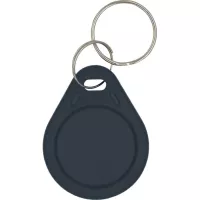 Брелок з чіпом Trinix P-key RW black Фото