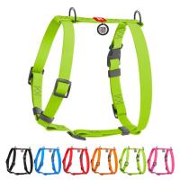 Шлея для собак WAUDOG Waterproof Н-подібна анатомічна М салатова Фото