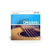 Струны для гитары D'Addario Phosphor Bronze Regular Light (12-53) Фото