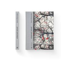 Книга Видавництво Старого Лева Кінечні пісні - Ірина Шувалова Фото