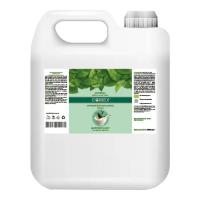 Жидкое мыло Comex Антибактериальное Бережная защита с индийских целе Фото