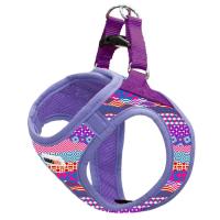 Шлей для собак MISOKO&CO фиолетовая с узором XS Фото