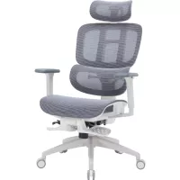 Офісне крісло OfficePro Skyline OC750-W-DG-DG Фото