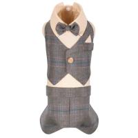 Костюм для животных Pet Fashion Happy XS2 Фото