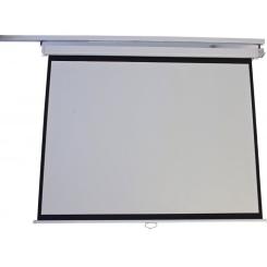 Проекционный экран Atria MWM-NTSC-100D Фото 1