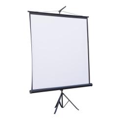 Проекционный экран Atria TRM-NTSC-100D Фото