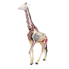 Пазл 4D Master Объемная анатомическая модель Жираф Фото 1