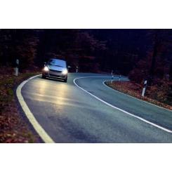 Автолампа Philips галогенова 55W Фото 3