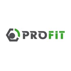 Воздушный фильтр для автомобиля Profit 1512-4221 Фото