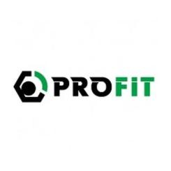 Воздушный фильтр для автомобиля Profit 1512-4285 Фото