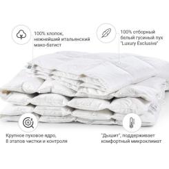 Одеяло MirSon пуховое Luxury Exclusive 080 зима 172x205 см Фото 1