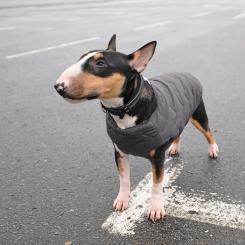 Жилет для животных Pet Fashion "E.Vest" XL сірий Фото 3