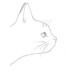 Книга Жорж #girls #fashion #cats Фото 10