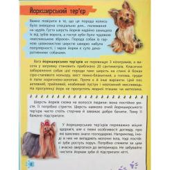 Книга Vivat Мініенциклопедія. Хатні улюбленці Фото 7