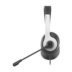 Наушники A4Tech FH100U Panda Фото 1