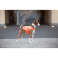 Курточка для животных Airy Vest XL оранжевая Фото 2