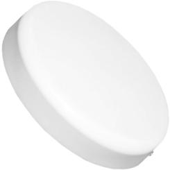 Светильник Eurolamp GL 25W 5000K Фото