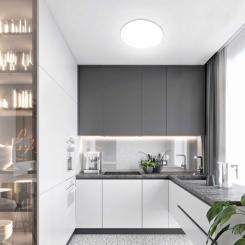 Светильник Eurolamp Van Gogh 48W 3000K 6500К RGB Фото 2