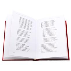 Книга А-ба-ба-га-ла-ма-га Маруся Чурай - Ліна Костенко Фото 8