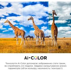 Телевизор TCL 43C645 Фото 9