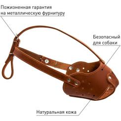Намордник для собак Collar (бультер'єр) коричневий Фото 2