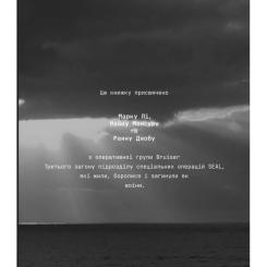 Книга #книголав Дисципліна - це свобода - Джоко Віллінк Фото 2