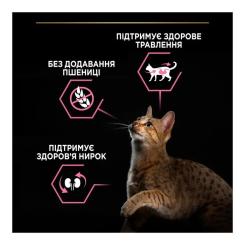 Сухой корм для кошек Purina Pro Plan Delicate Lamb со вкусом ягненка 3 кг Фото 5