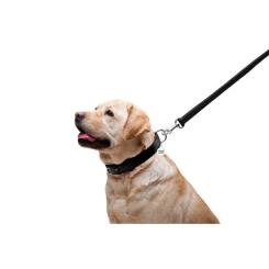 Поводок для собак WAUDOG Glamour кожаный M-XXL черный Фото 4