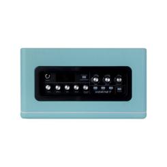 Комбоусилитель Mooer Hornet Blue Фото 5