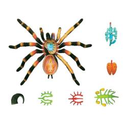 Пазл 4D Master Паук Тарантул Фото 8