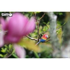 Пазл Eugy 3D Зоопарк Попугай Ара Фото 7