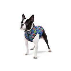 Курточка для животных WAUDOG Clothes Инжир XS 22 Фото 2