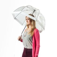 Зонт Fulton Birdcage-1 L041 White Фото 1