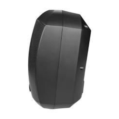 Громкоговоритель CMX WSK-420DS Фото 2