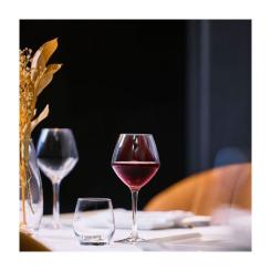 Бокал Chef & Sommelier серія "Cabernet Vins Jeunes" 580 мл Фото 1