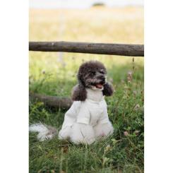 Футболка для животных Pet Fashion Ostap S Фото 10
