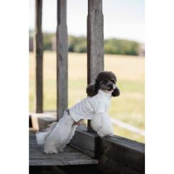 Футболка для животных Pet Fashion Ostap S Фото 11